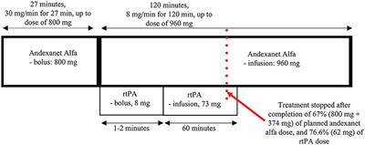 Case report: First treatment of acute ischaemic stroke in a patient on active rivaroxaban therapy using andexanet alfa and rtPA combined with early complete recovery